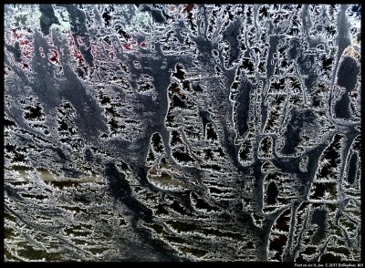 More frost patterns on black cars